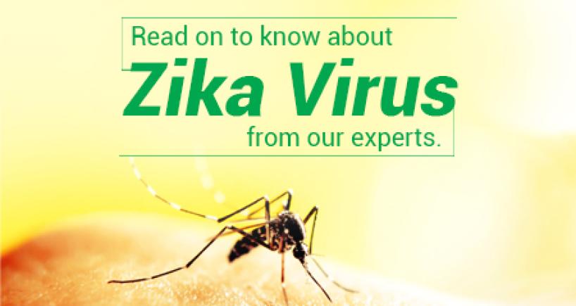 Zika Virus